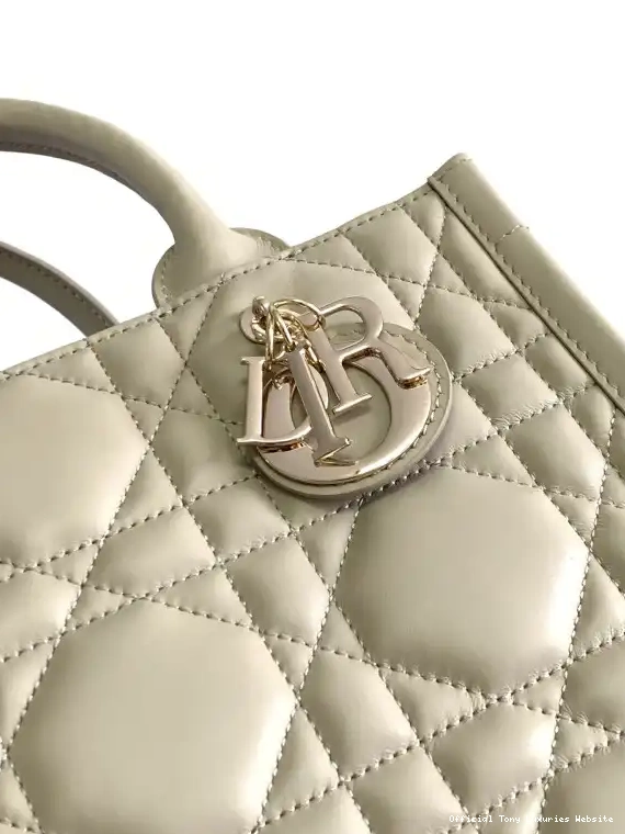 Tony Luxuries Bags-26.5*21*14cm Small Tote diro 0511